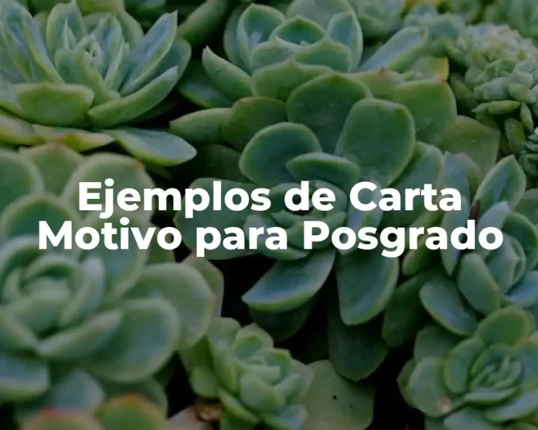 Ejemplos de Carta Motivo para Posgrado