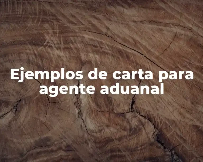 Ejemplos de carta para agente aduanal