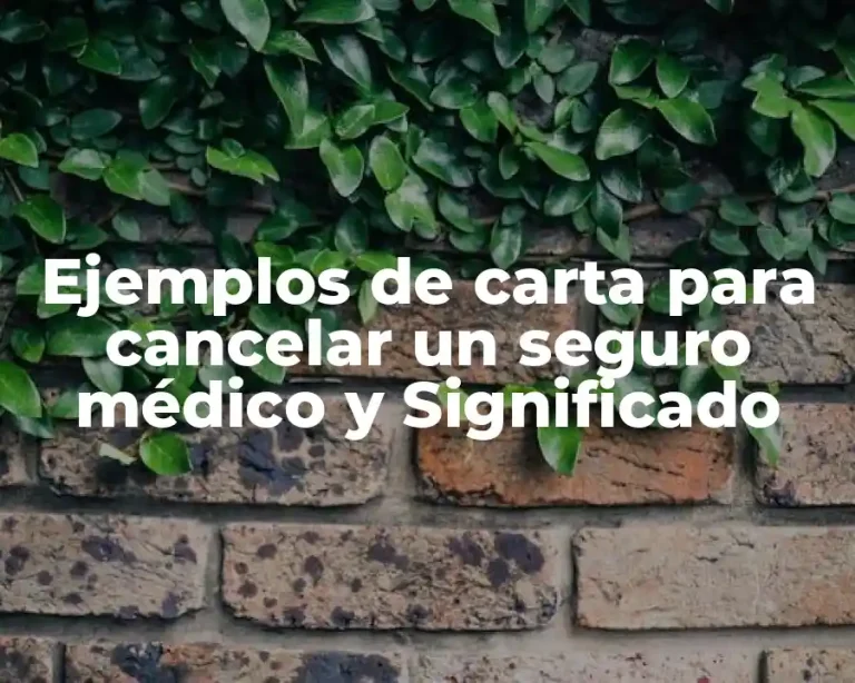 Ejemplos de carta para cancelar un seguro médico y Significado