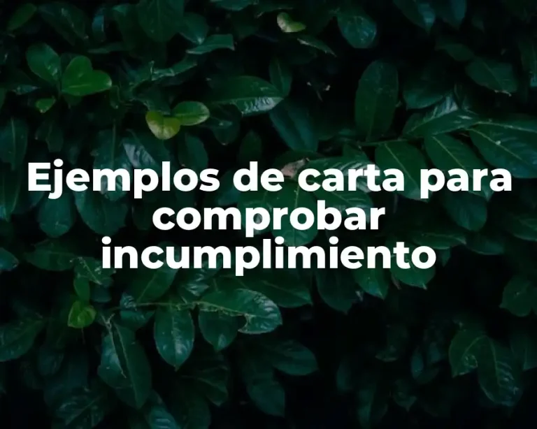 Ejemplos de carta para comprobar incumplimiento