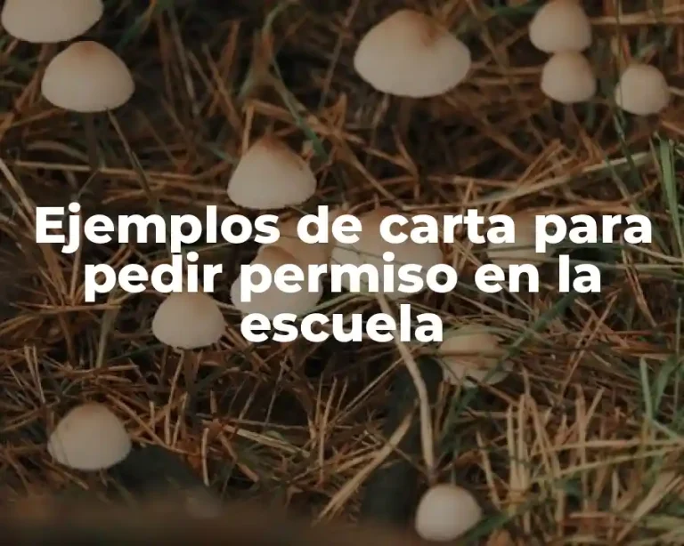 Ejemplos de carta para pedir permiso en la escuela
