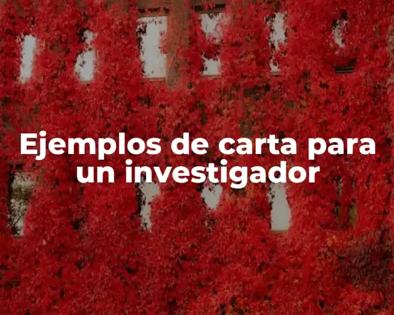 Ejemplos de carta para un investigador