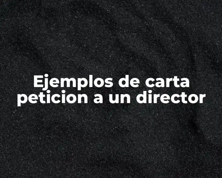 Ejemplos de carta peticion a un director
