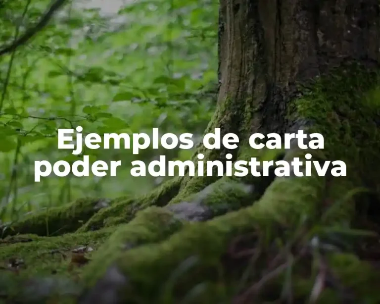Ejemplos de carta poder administrativa