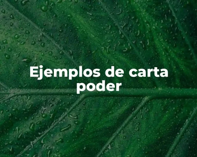 Ejemplos de carta poder