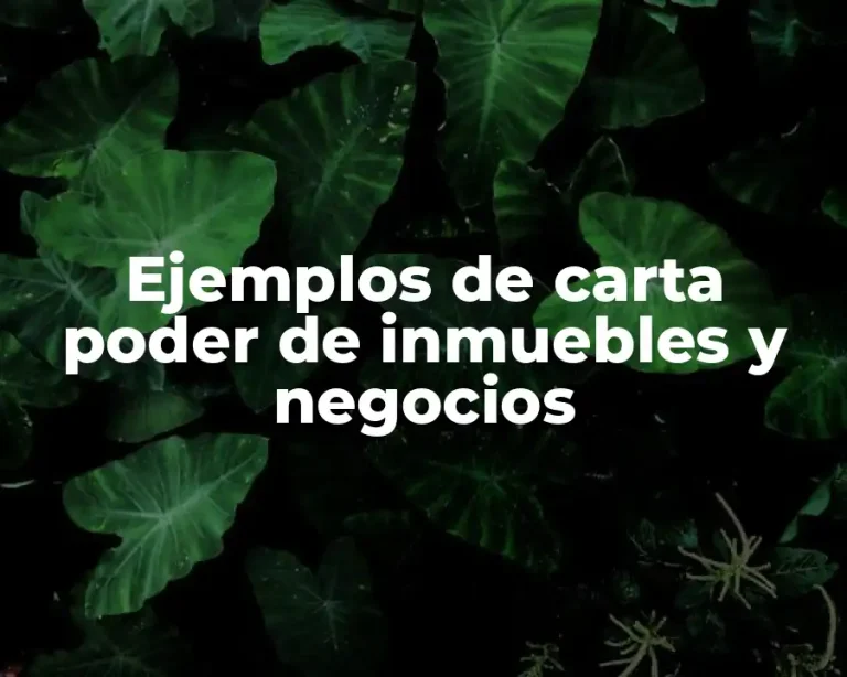 Ejemplos de carta poder de inmuebles y negocios