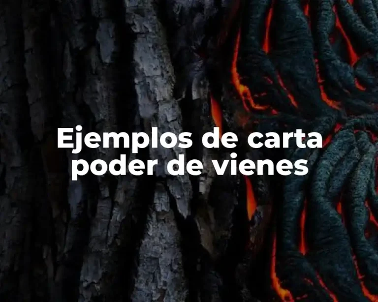 Ejemplos de carta poder de vienes