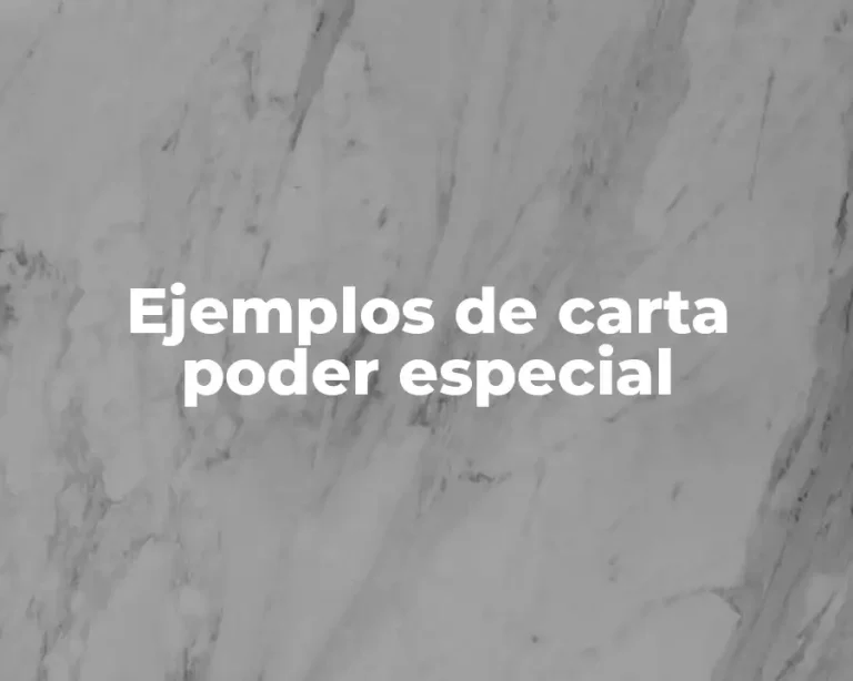 Ejemplos de carta poder especial