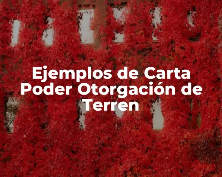 Ejemplos de Carta Poder Otorgación de Terren