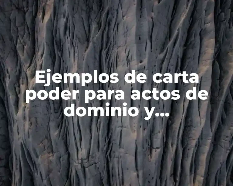 Ejemplos de carta poder para actos de dominio y administración