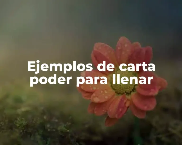 Ejemplos de carta poder para llenar