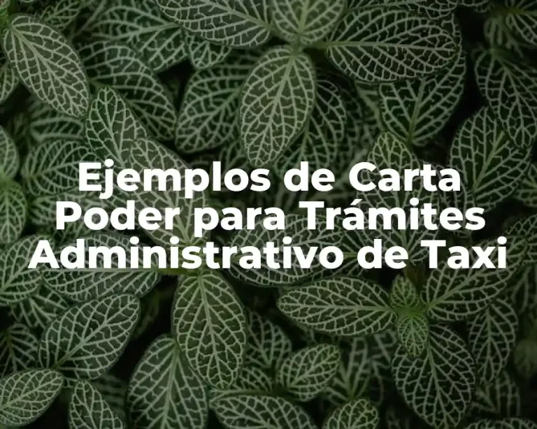 Ejemplos de Carta Poder para Trámites Administrativo de Taxi