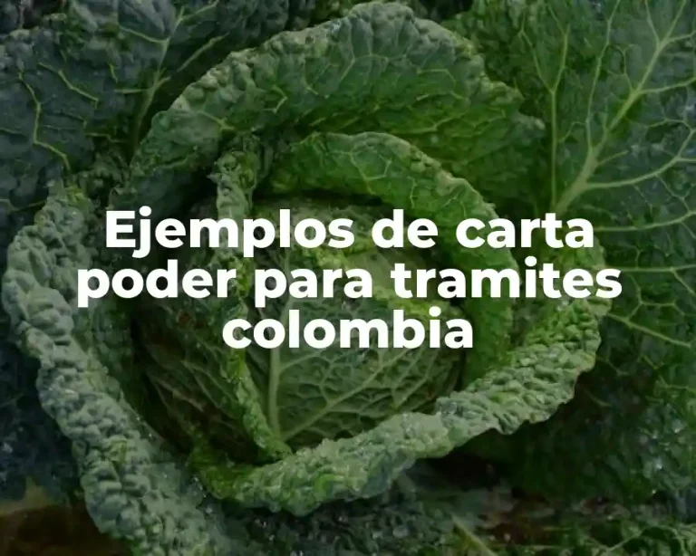 Ejemplos de carta poder para tramites colombia