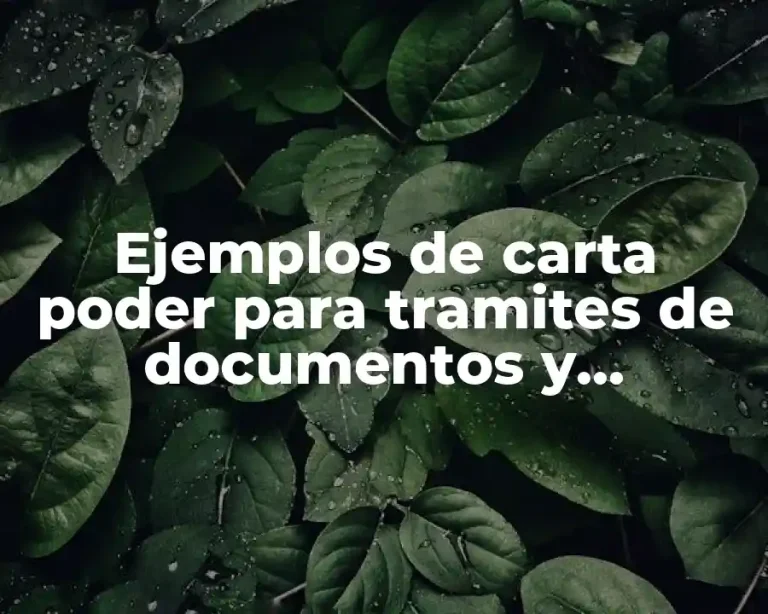 Ejemplos de carta poder para tramites de documentos y Significado