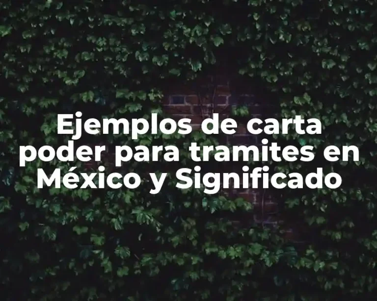 Ejemplos de carta poder para tramites en México y Significado