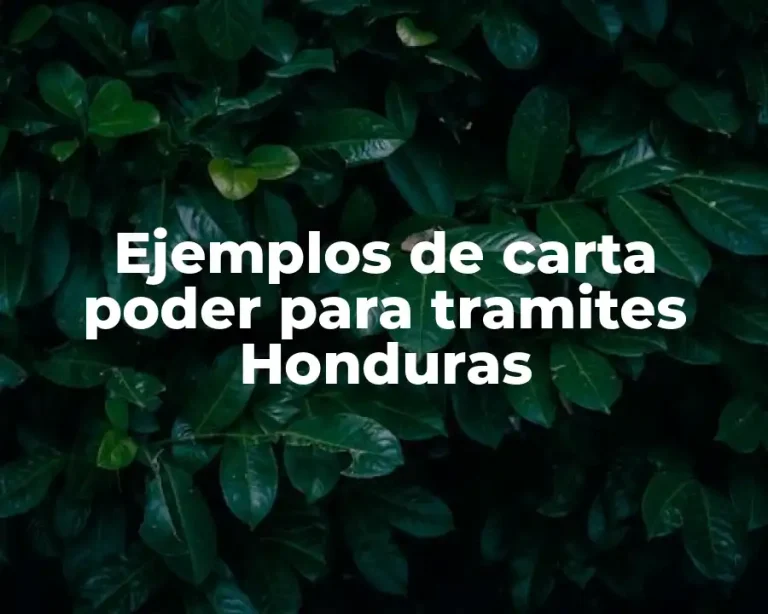 Ejemplos de carta poder para tramites Honduras