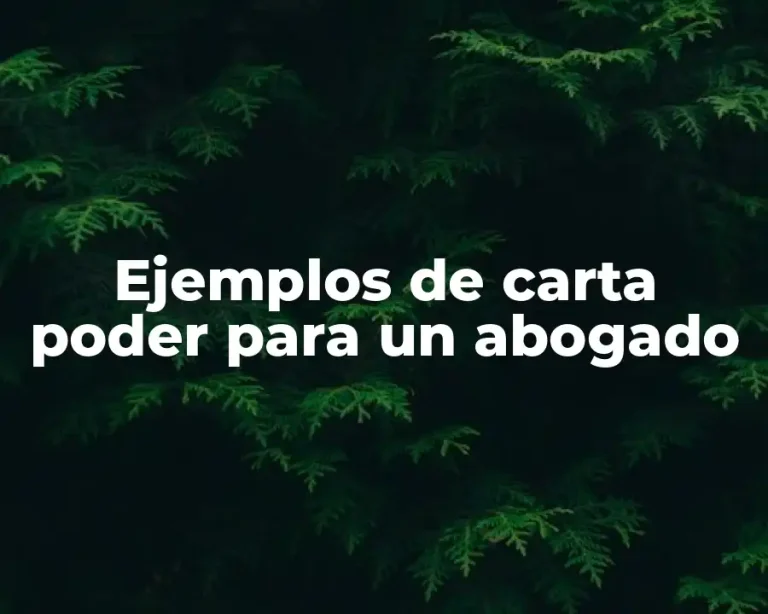 Ejemplos de carta poder para un abogado