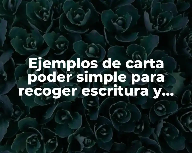 Ejemplos de carta poder simple para recoger escritura y Significado