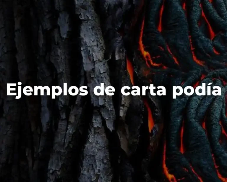 Ejemplos de carta podía