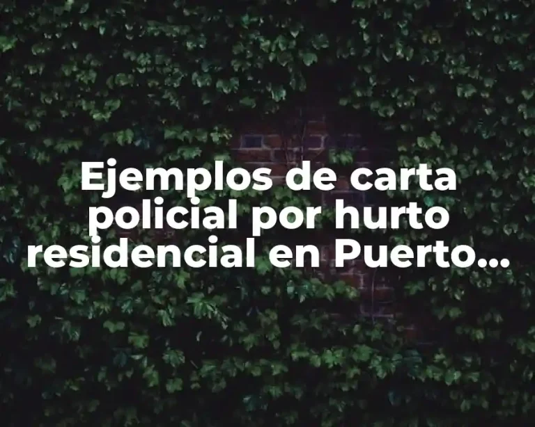 Ejemplos de carta policial por hurto residencial en Puerto Rico