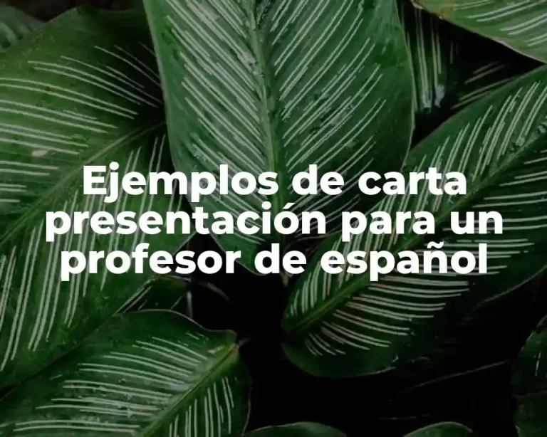 Ejemplos de carta presentación para un profesor de español
