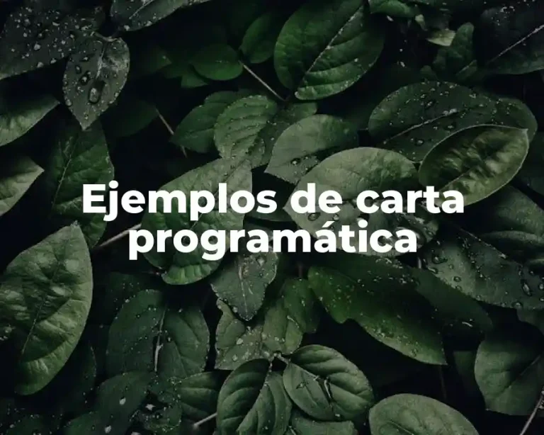 Ejemplos de carta programática