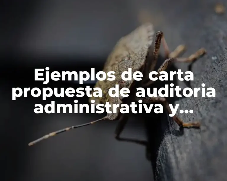 Ejemplos de carta propuesta de auditoria administrativa y Significado