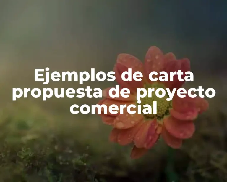 Ejemplos de carta propuesta de proyecto comercial