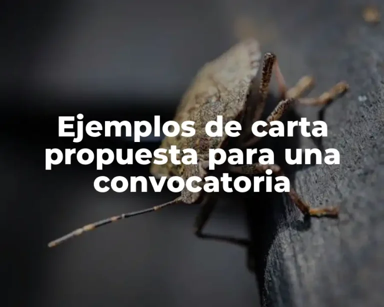 Ejemplos de carta propuesta para una convocatoria