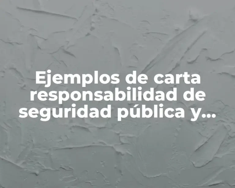 Ejemplos de carta responsabilidad de seguridad pública y Significado