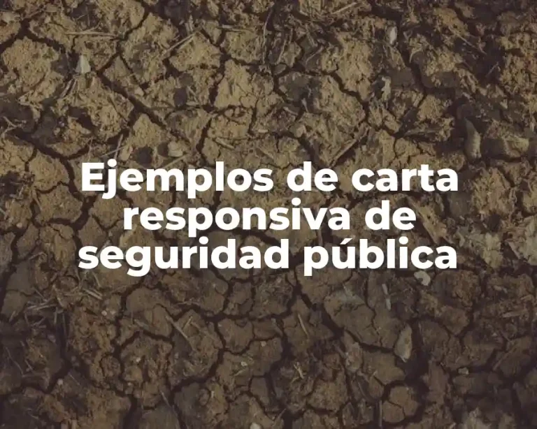 Ejemplos de carta responsiva de seguridad pública