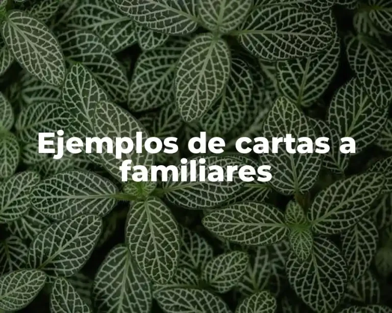 Ejemplos de cartas a familiares