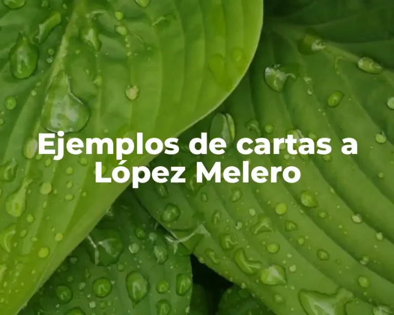 Ejemplos de cartas a López Melero