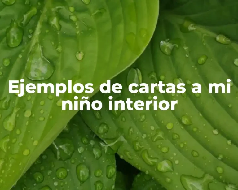 Ejemplos de cartas a mi niño interior