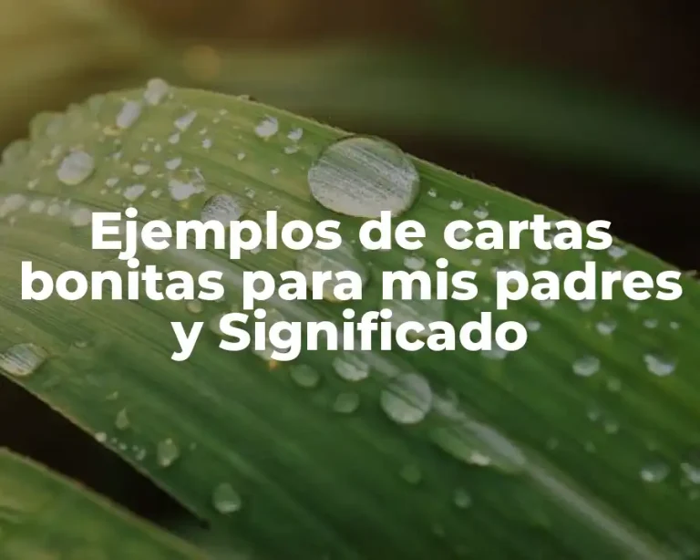 Ejemplos de cartas bonitas para mis padres y Significado