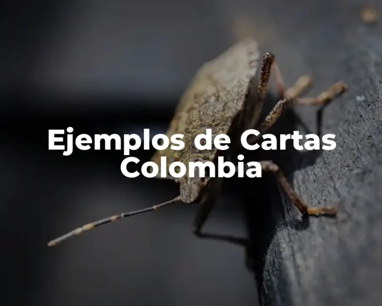 Ejemplos de Cartas Colombia
