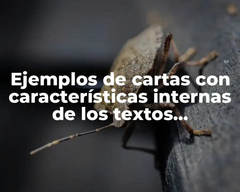 Ejemplos de cartas con características internas de los textos funcionales