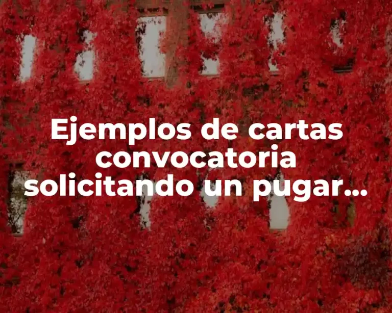 Ejemplos de cartas convocatoria solicitando un pugar para vender comida y Significado