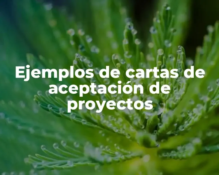 Ejemplos de cartas de aceptación de proyectos