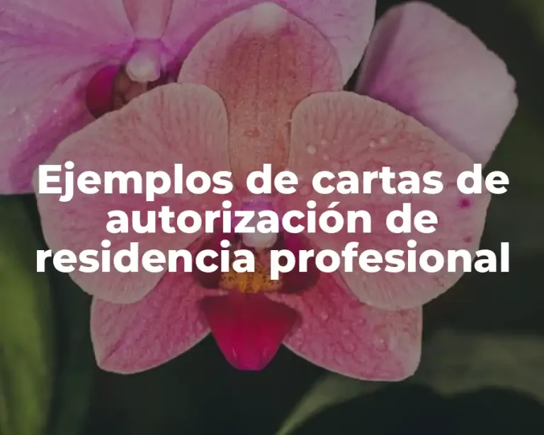 Ejemplos de cartas de autorización de residencia profesional