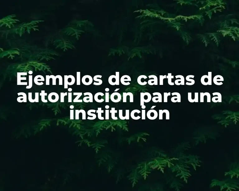 Ejemplos de cartas de autorización para una institución