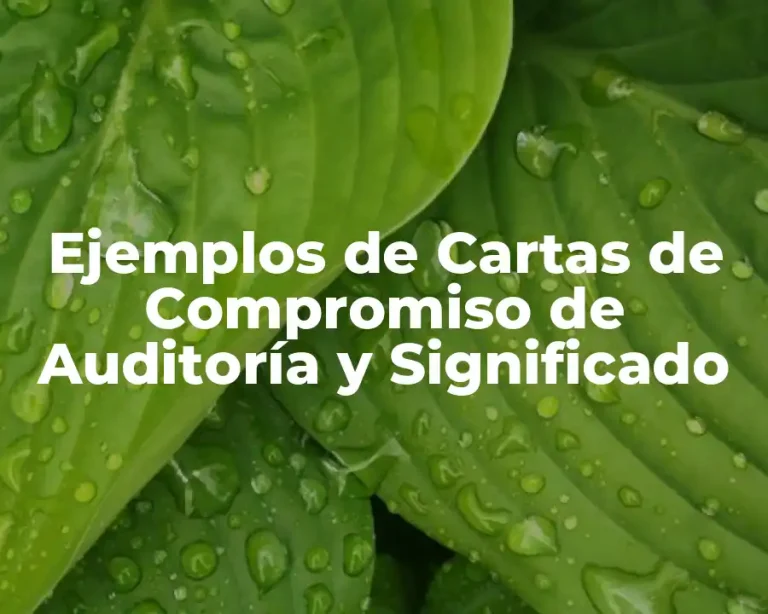 Ejemplos de Cartas de Compromiso de Auditoría y Significado