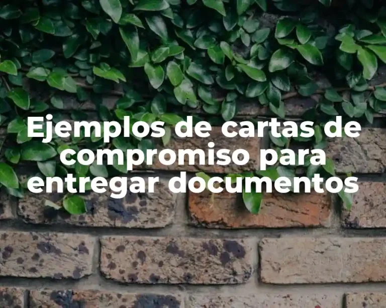 Ejemplos de cartas de compromiso para entregar documentos