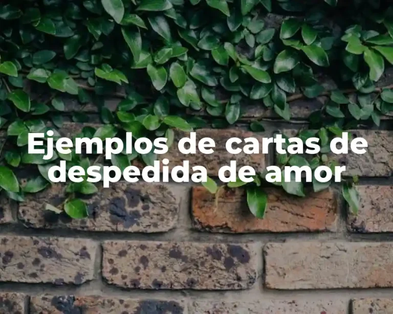 Ejemplos de cartas de despedida de amor