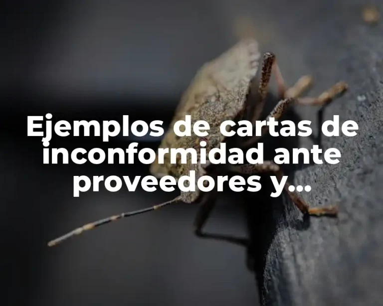 Ejemplos de cartas de inconformidad ante proveedores y Significado