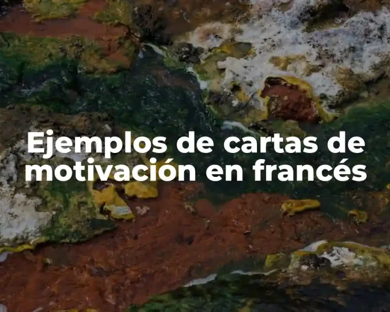 Ejemplos de cartas de motivación en francés