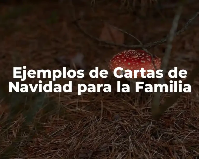 Ejemplos de Cartas de Navidad para la Familia