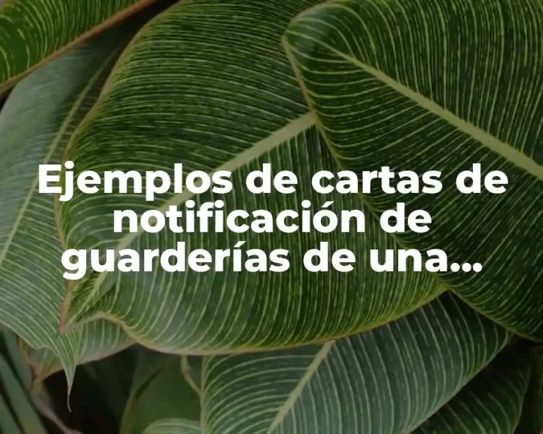Ejemplos de cartas de notificación de guarderías de una empresa