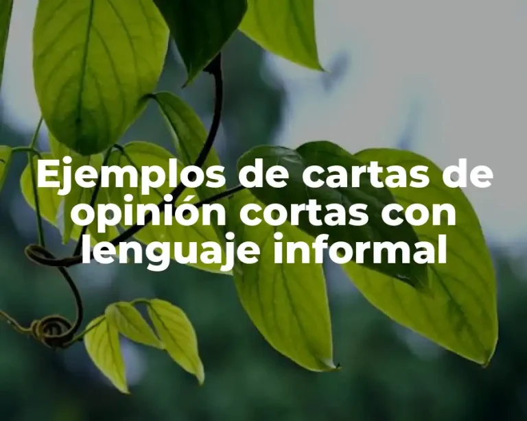 Ejemplos de cartas de opinión cortas con lenguaje informal