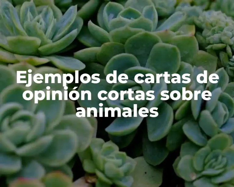 Ejemplos de cartas de opinión cortas sobre animales